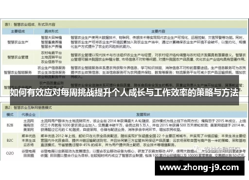 如何有效应对每周挑战提升个人成长与工作效率的策略与方法