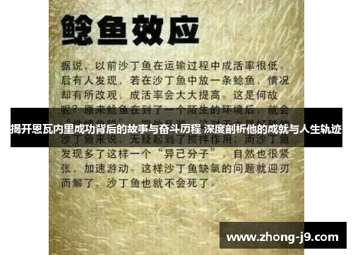 揭开恩瓦内里成功背后的故事与奋斗历程 深度剖析他的成就与人生轨迹