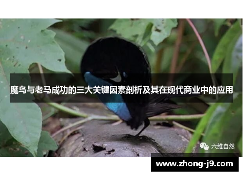 魔鸟与老马成功的三大关键因素剖析及其在现代商业中的应用